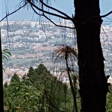 Finca La Casita La Orotava Luaran gambar