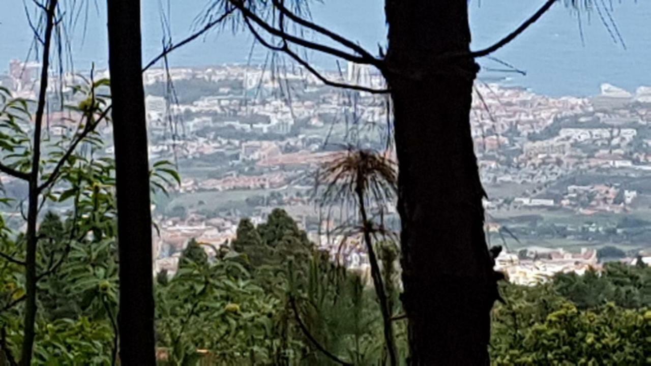 Finca La Casita La Orotava Luaran gambar